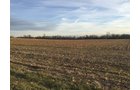 Property photo 15 - PRIME OHIO FARM AUCTION - 198+/- ACRES IN 4 TRACTS IN PREBLE COUNTY, OHIO
